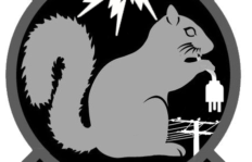 Cyber Squirrel 1
